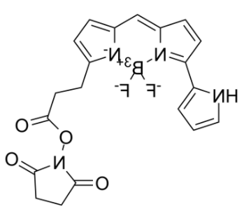 Py-BODIPY-NHS ester 