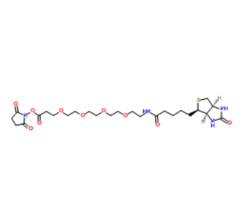 Biotin-PEG4-NHS ester 