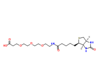 	Biotin-PEG3-acid 