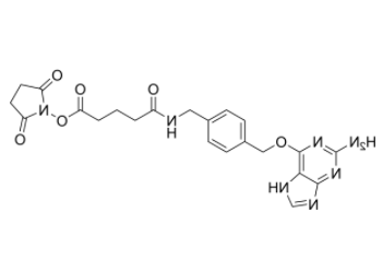	2-Aminopurine-O-Ph-NHCO-C3-NHS ester 