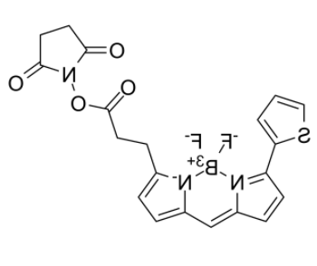 	BDP 558/568 NHS ester 
