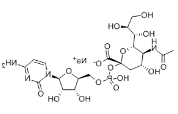 CMP-N-乙酰神经氨酸 CMP-N-乙酰神经氨酸