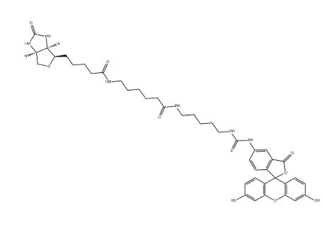 5-FITC Biotin