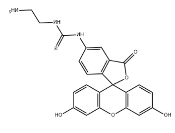 5-FITC-C2-amine