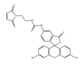 5-FITC-Maleimide