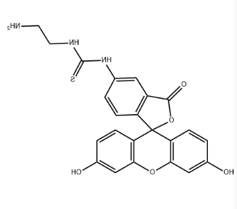 5-FITC-C2-amine 5-FITC-C2-amine