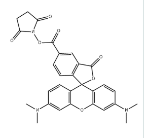 5-TAMRA NHS ester