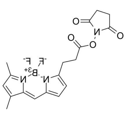 BDP FL NHS Ester 