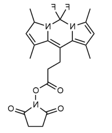 BODIPY 493/503 NHS ester