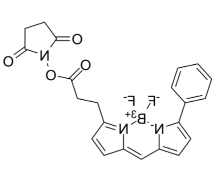 BIODIPY R6G ester 