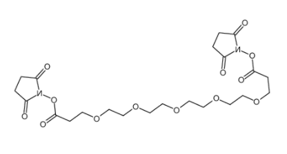 	双(NHS)PEG5	 