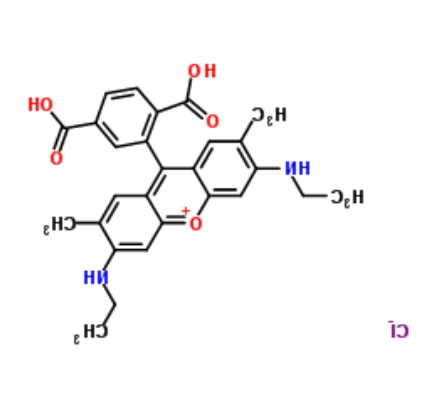 6-Rhodamine 6G COOH   