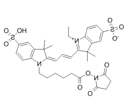 CY3-NHS酯	 