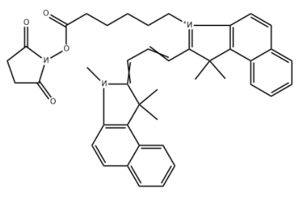 Cyanine3.5 NHS酯	 