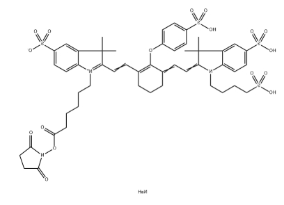 IRDye 800CW NHS Ester