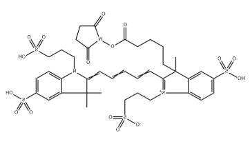 AF 647 NHS ester