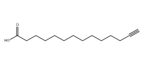 Alkynyl Myristic Acid