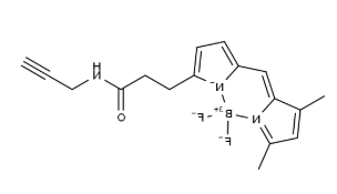 BDP FL alkyne