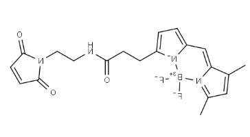 BDP FL maleimide
