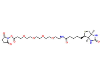 Biotin-PEG4-NHS ester 