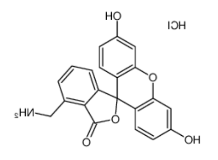 	4’-胺甲基荧光素盐酸盐	 
