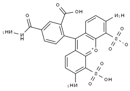 BP Fluor 488 Hydrazide 