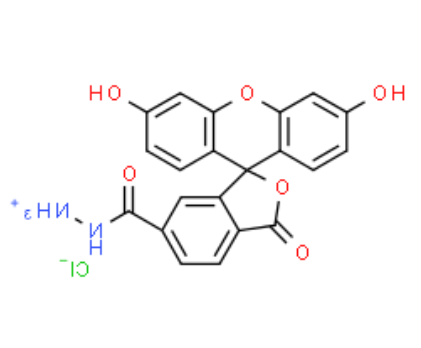 FAM hydrazide 6-isomer 