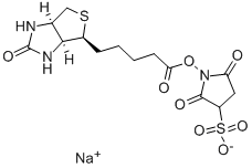 Sulfo-NHS-Biotin Sulfo-NHS-Biotin