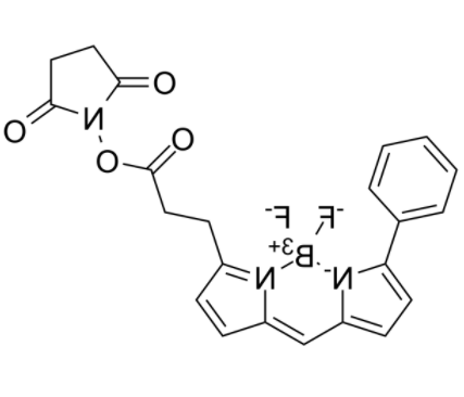BIODIPY R6G ester 