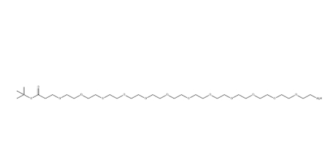 NH2-PEG12-CH2CH2COOtBu