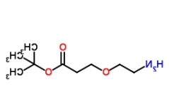 NH2-PEG1-CH2CH2COOtBu