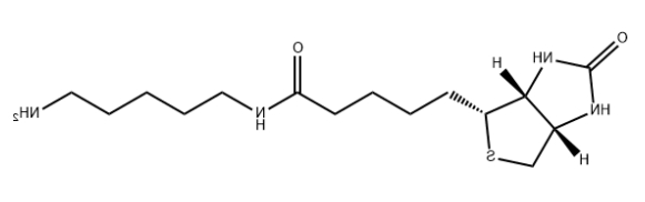 Biotin-C5-amine