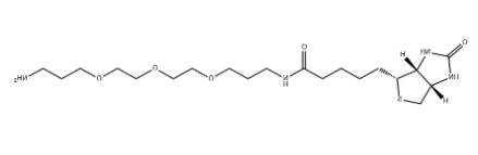 Biotin-C1-PEG3-C1-NH2