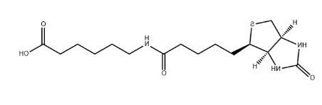 Biotin-LC