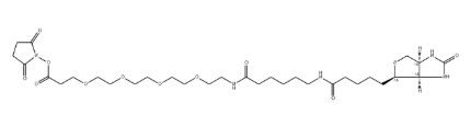 Biotin-LC-PEG4-NHS ester
