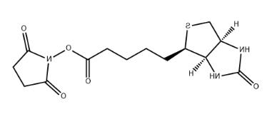 Biotin-NHS ester