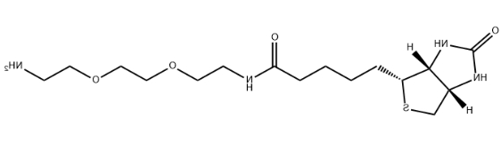 生物素-三聚乙二醇-氨基