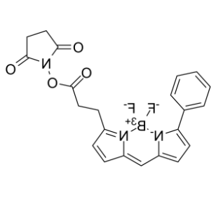 BIODIPY R6G ester 