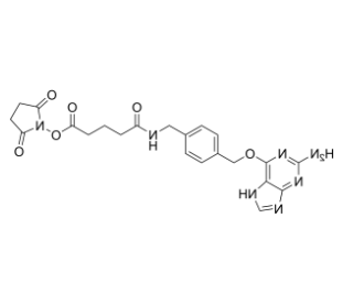 2-Aminopurine-O-Ph-NHCO-C3-NHS ester 
