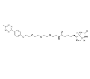 Biotin-PEG4-methyltetrazine  