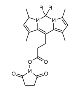 BODIPY 493/503 NHS ester 