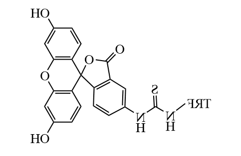 FITC-Transferrin，荧光标记转铁蛋白