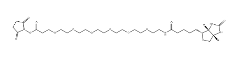 Biotin-PEG5-NHS ester
