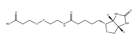 Biotin-SS-COOH