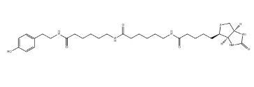 1749548715259696.jpeg Biotin-XX Tyramide Reagent,cas:851113-28-5.png