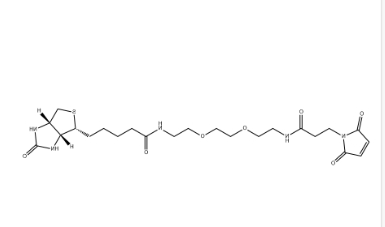 （+）-Biotin-PEG2-NH-Mal