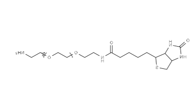 （+）-Biotin-PEG11-CH2CH2NH2