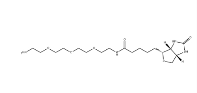 （+）-Biotin-PEG3-CH2CH2NH2