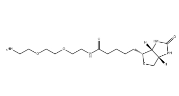 （+）-Biotin-PEG2-CH2CH2NH2