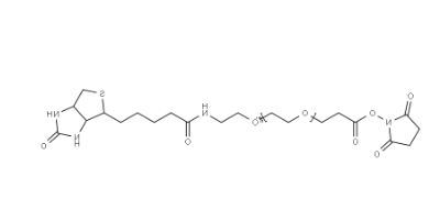 （+）-Biotin-PEG24-NHS Ester